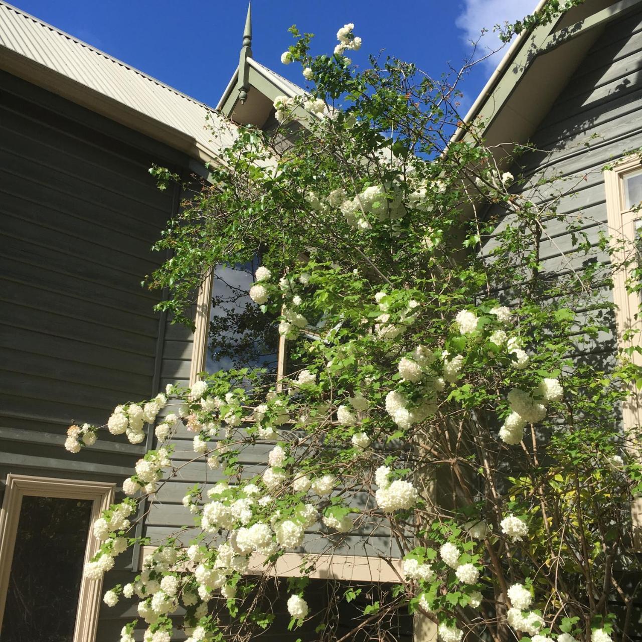 Oak Tree Lodge Rhyll Eksteriør bilde